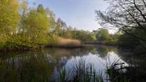 There are lots of nature walks close by.