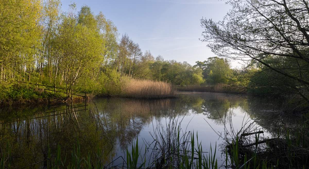 There are lots of nature walks close by.
