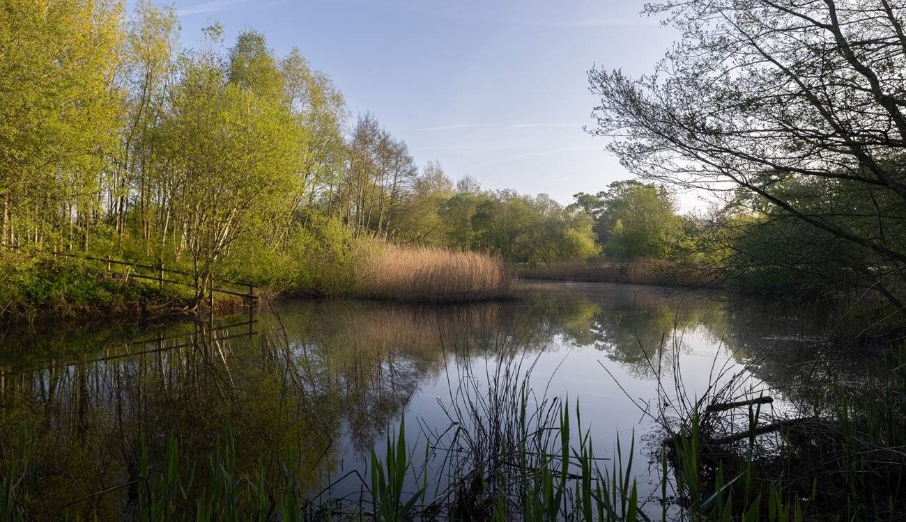 There are lots of nature walks close by.