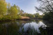There are lots of nature walks close by.