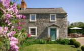A picture perfect cottage in a beautifully mature garden.  - Thumbnail Image
