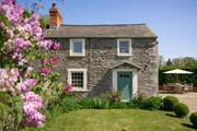 A picture perfect cottage in a beautifully mature garden.