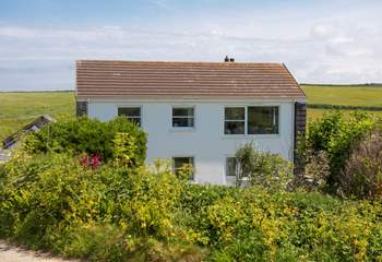 Surrounded by nature.