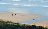 Your canine companion is most welcome to enjoy this stunning area. - Thumbnail Image