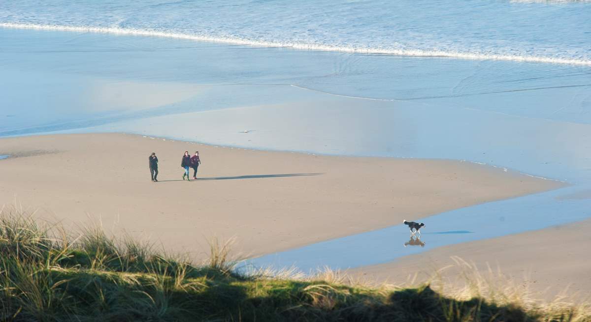 Your canine companion is most welcome to enjoy this stunning area.