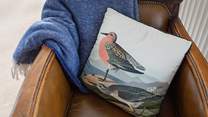 Spot the vast birdlife at 'Sunny Hunny' beach just moments away!