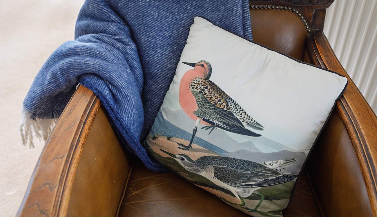 Spot the vast birdlife at 'Sunny Hunny' beach just moments away!