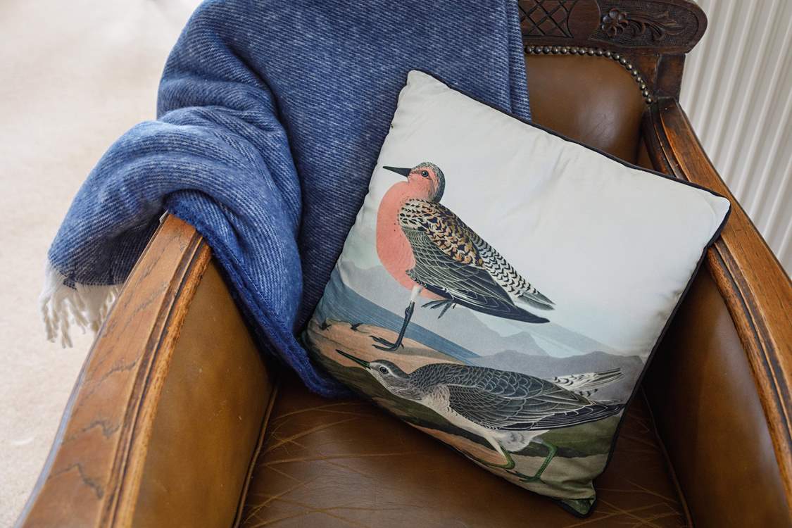 Spot the vast birdlife at 'Sunny Hunny' beach just moments away!