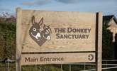 Spend a day visiting the delightful donkeys at The Donkey Sanctuary at nearby Salcombe Regis - home to hundreds of rescued donkeys and mules. Admission is free. - Thumbnail Image