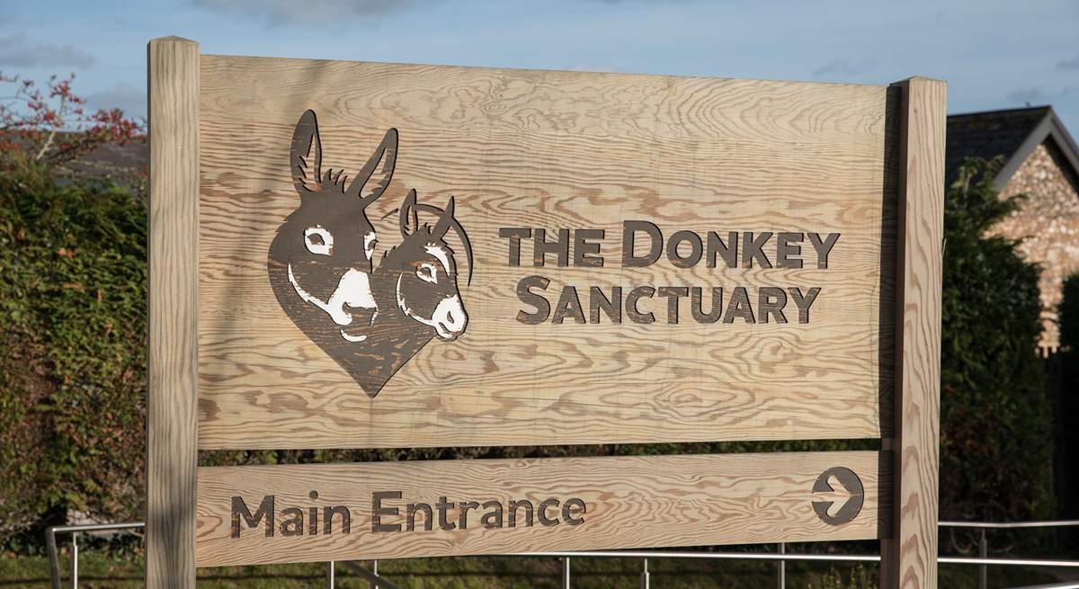 Spend a day visiting the delightful donkeys at The Donkey Sanctuary at nearby Salcombe Regis - home to hundreds of rescued donkeys and mules. Admission is free.