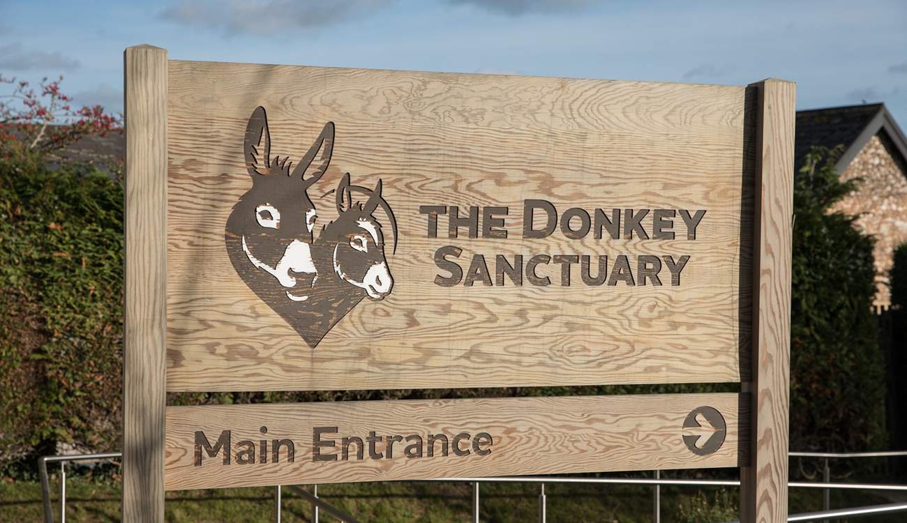 Spend a day visiting the delightful donkeys at The Donkey Sanctuary at nearby Salcombe Regis - home to hundreds of rescued donkeys and mules. Admission is free.