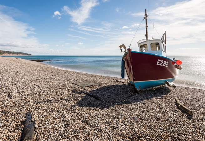 Take a trip to the picturesque village of Beer located on the UNESCO World Heritage Jurassic Coast where the the fishing boats still bring in the catch of the day.
