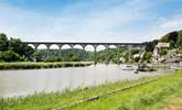 Take a stroll along the banks of the River Tamar. This is nearby Calstock. - Thumbnail Image