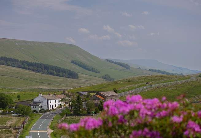 View from the garden with the hills in the distance. 