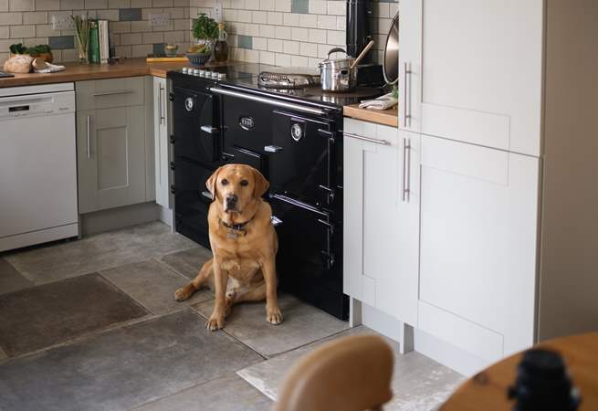 Your four-legged friends are welcome and even have their own welcome pack. 