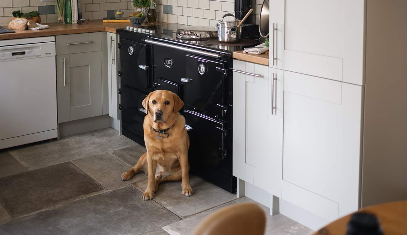 Your four-legged friends are welcome and even have their own welcome pack. 