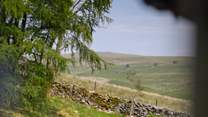 Typical dry stone walls of the Yorkshire Dales. 