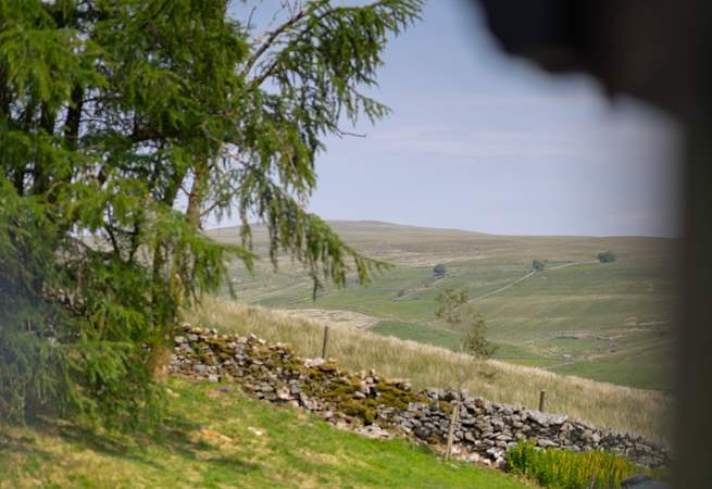 Typical dry stone walls of the Yorkshire Dales. 