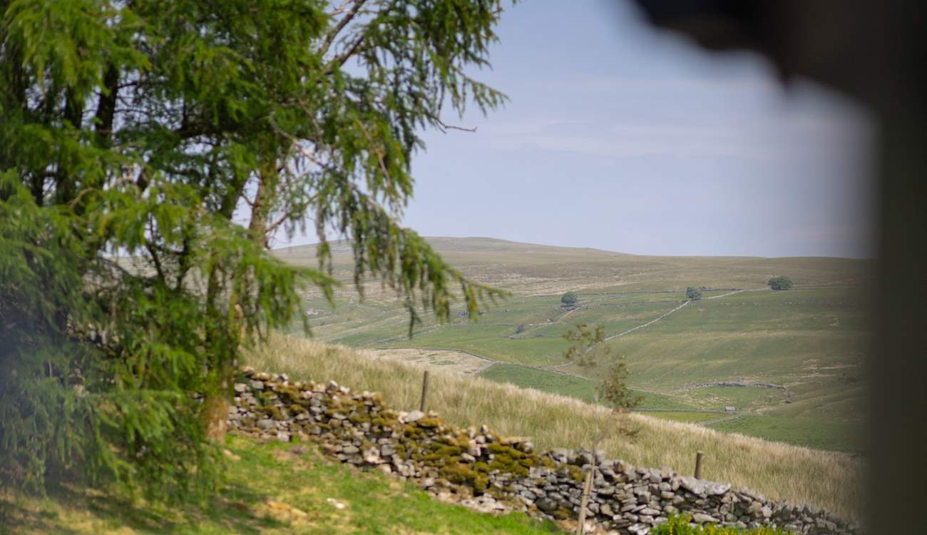 Typical dry stone walls of the Yorkshire Dales. 