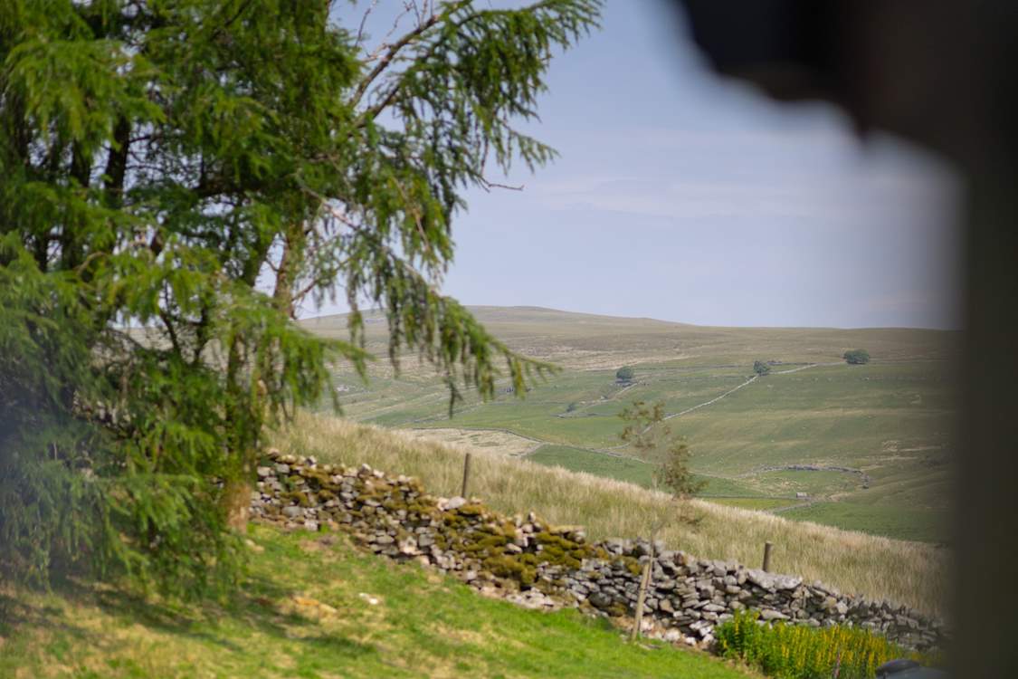 Typical dry stone walls of the Yorkshire Dales.