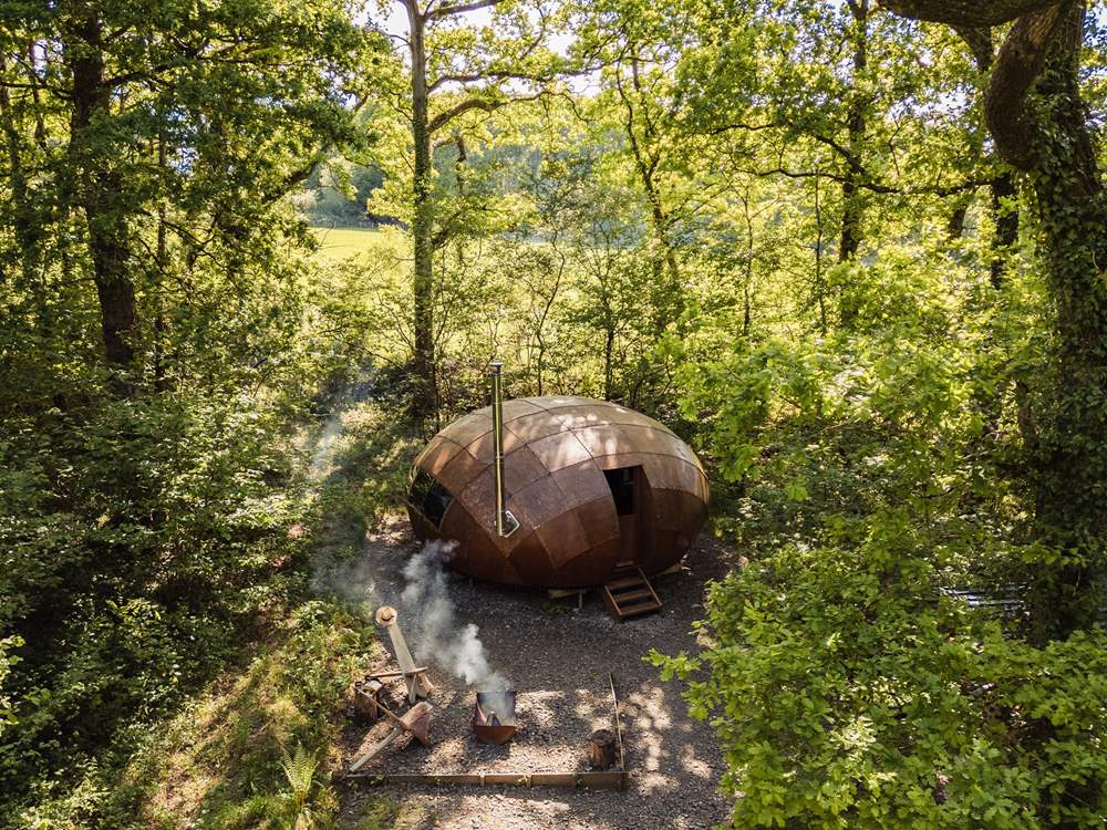 Welcome to our enchanting woodland hideaway, Hush.