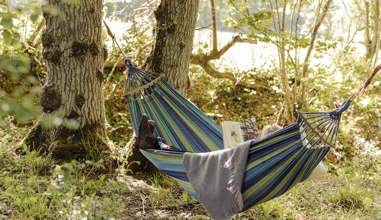 Gently sway in the hammock woven between the trees.