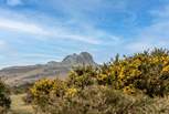 Explore the rugged landscape of Dartmoor.