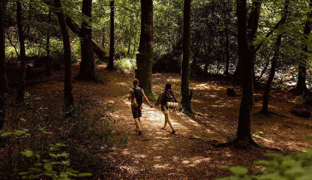 And bring yourself back to nature. 