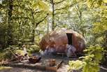 A restorative woodland retreat awaits.