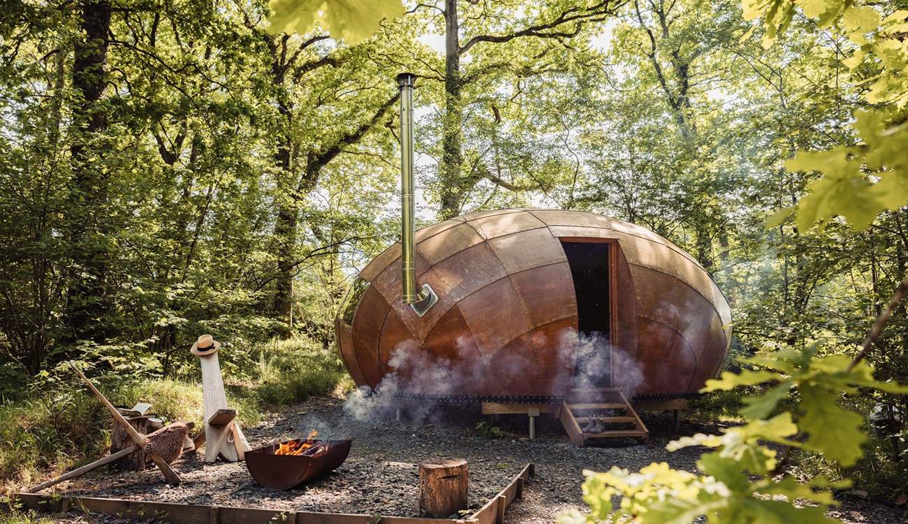 Welcome to our enchanting woodland hideaway, Hush.