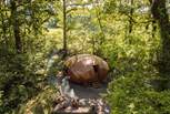 Welcome to our enchanting woodland hideaway, Hush.