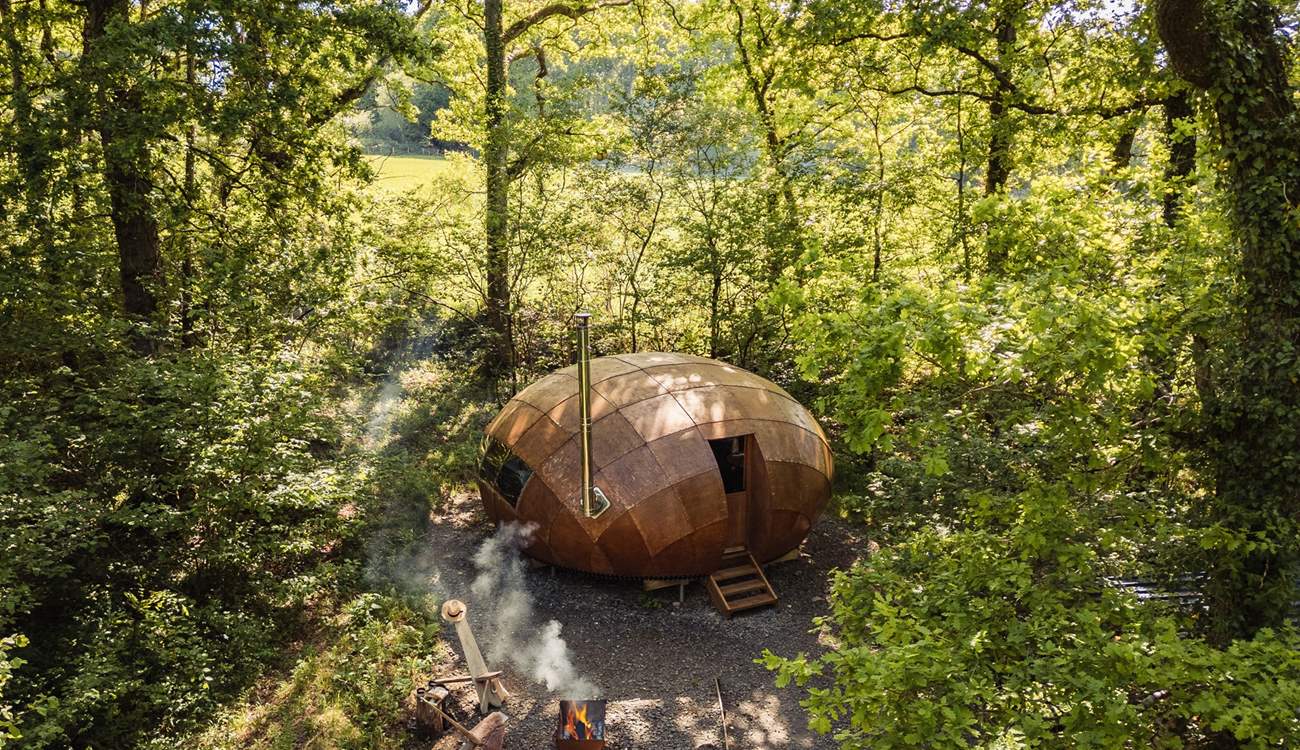 A restorative woodland retreat awaits.