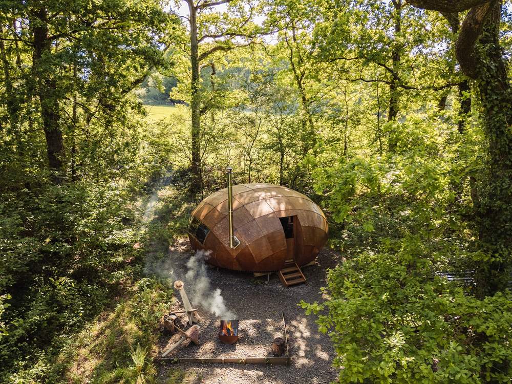 Welcome to our enchanting woodland hideaway, Hush.