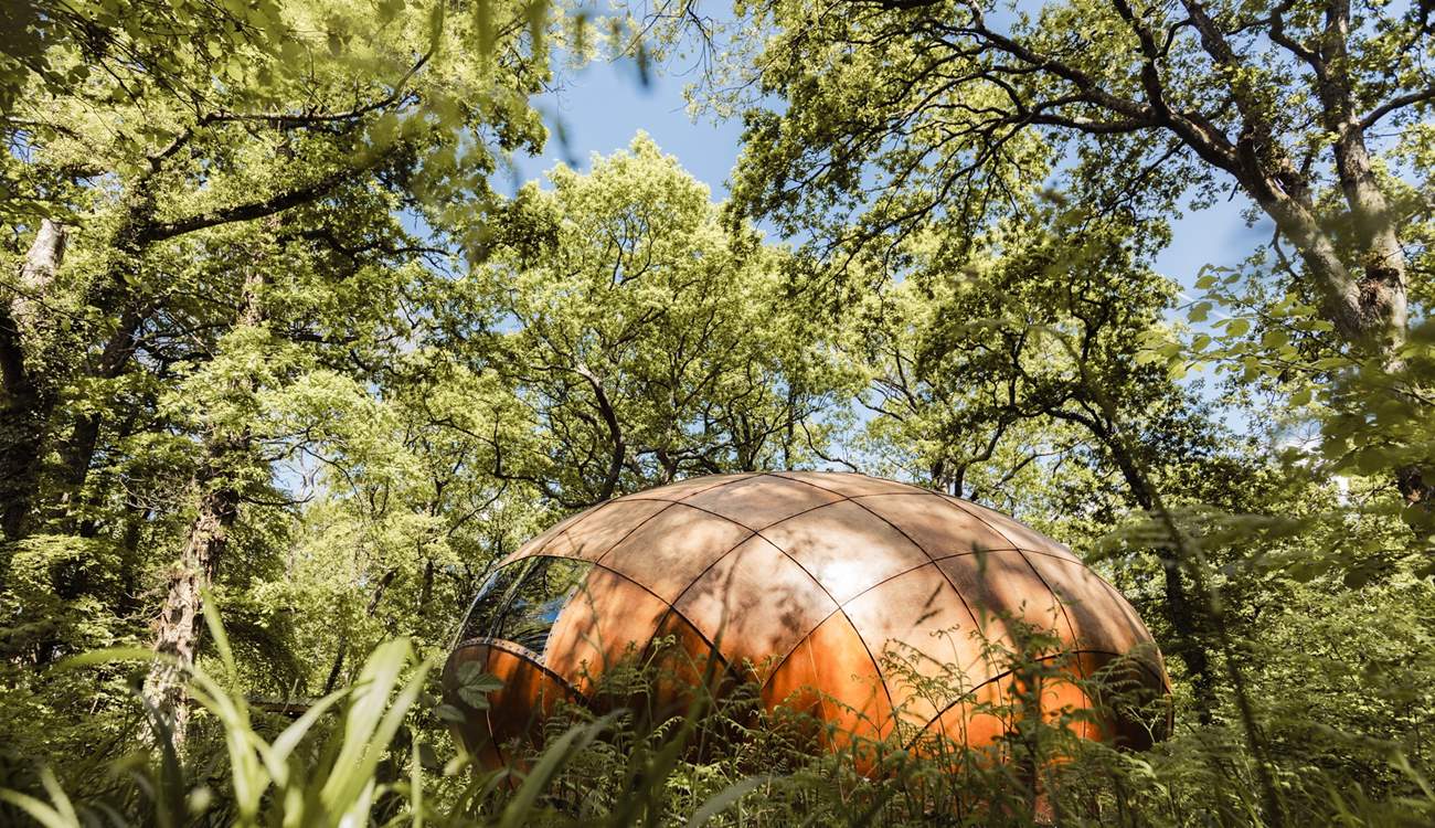 Discover an utterly unique and handcrafted 'truffle' amongst the trees. 