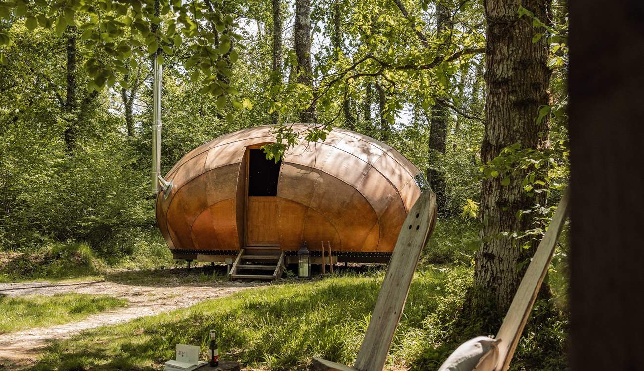 A dream cabin in the woods.