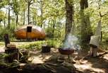 Welcome to our magical woodland retreat, Sun-dapple.