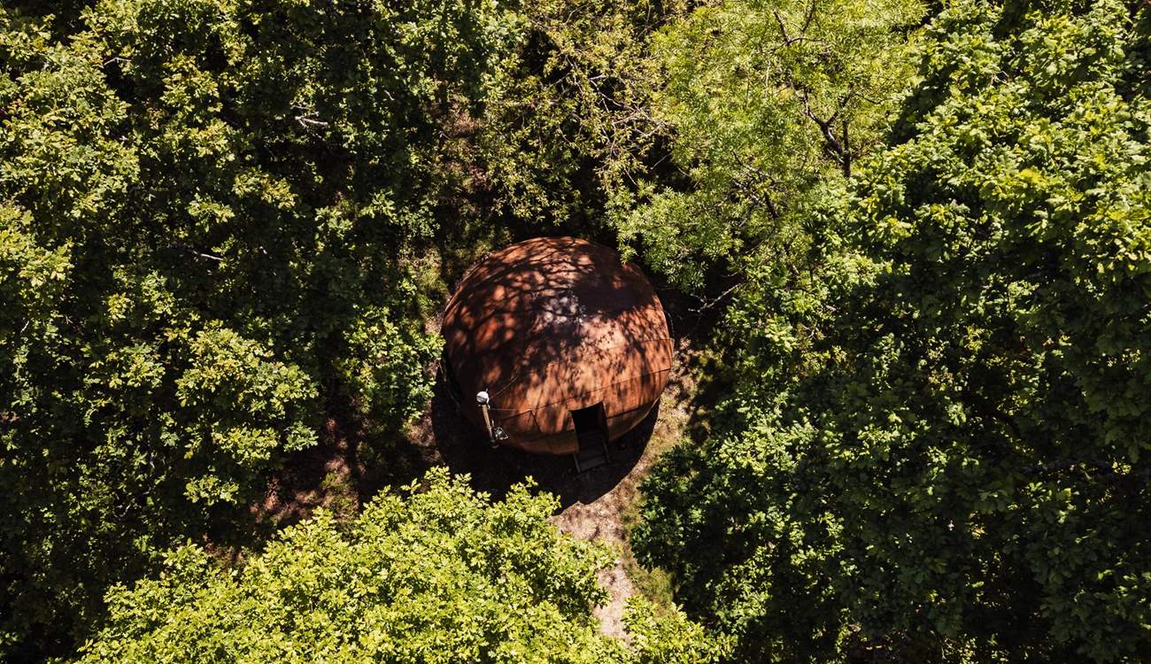 Your hideaway is surrounded by gentle, towering oak trees. 