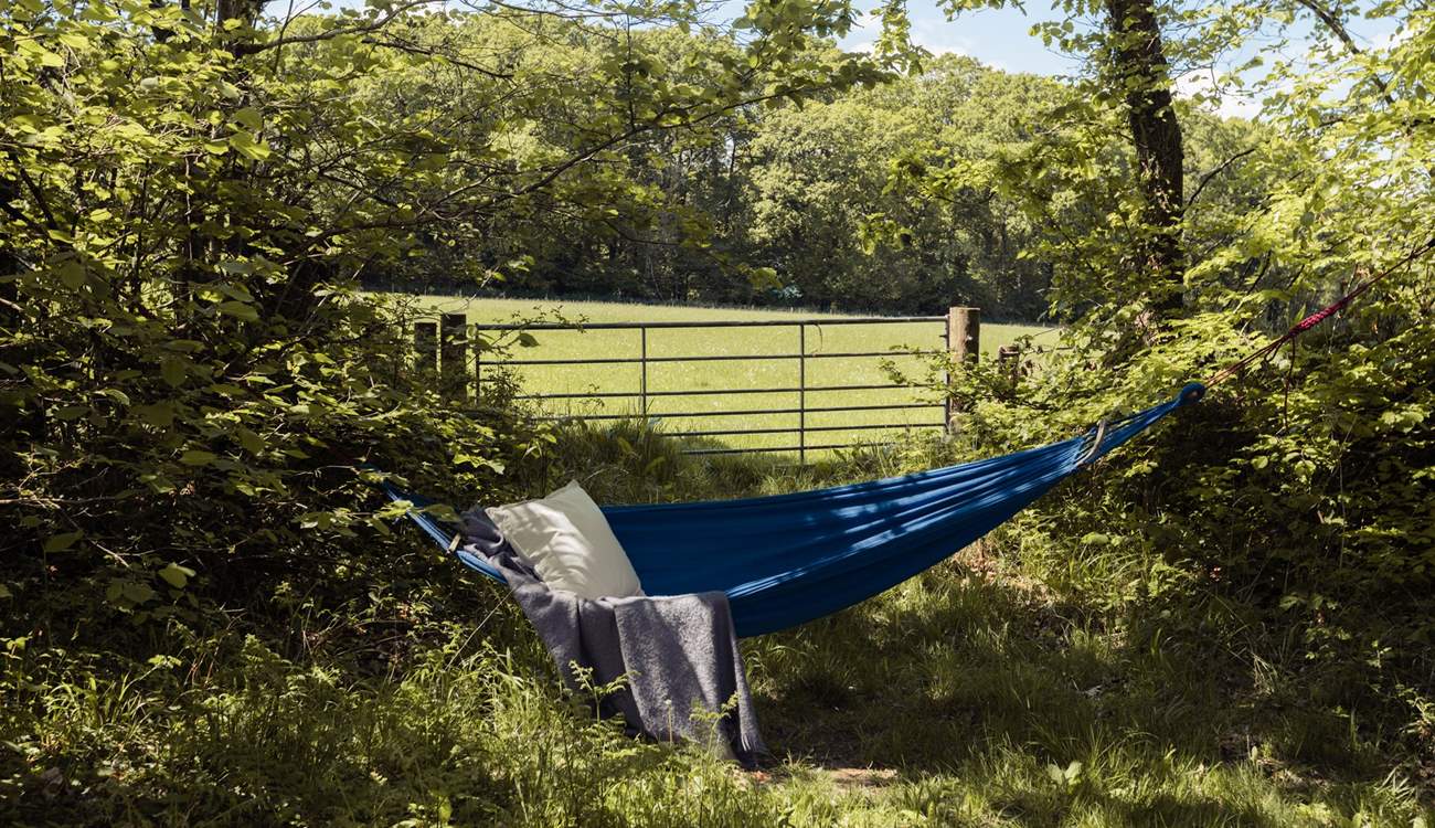 Many peaceful, sun-dappled spots await. 