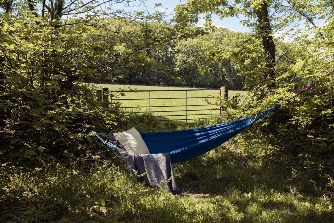 Many peaceful, sun-dappled spots await.