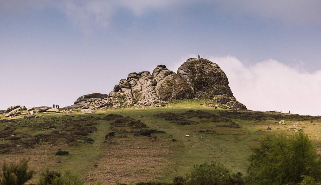 Explore the rugged landscape of Dartmoor.