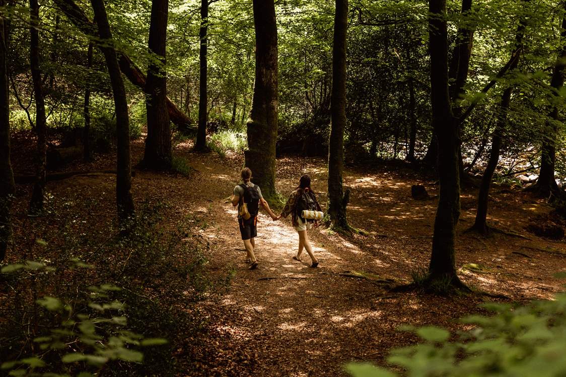 And bring yourself back to nature.