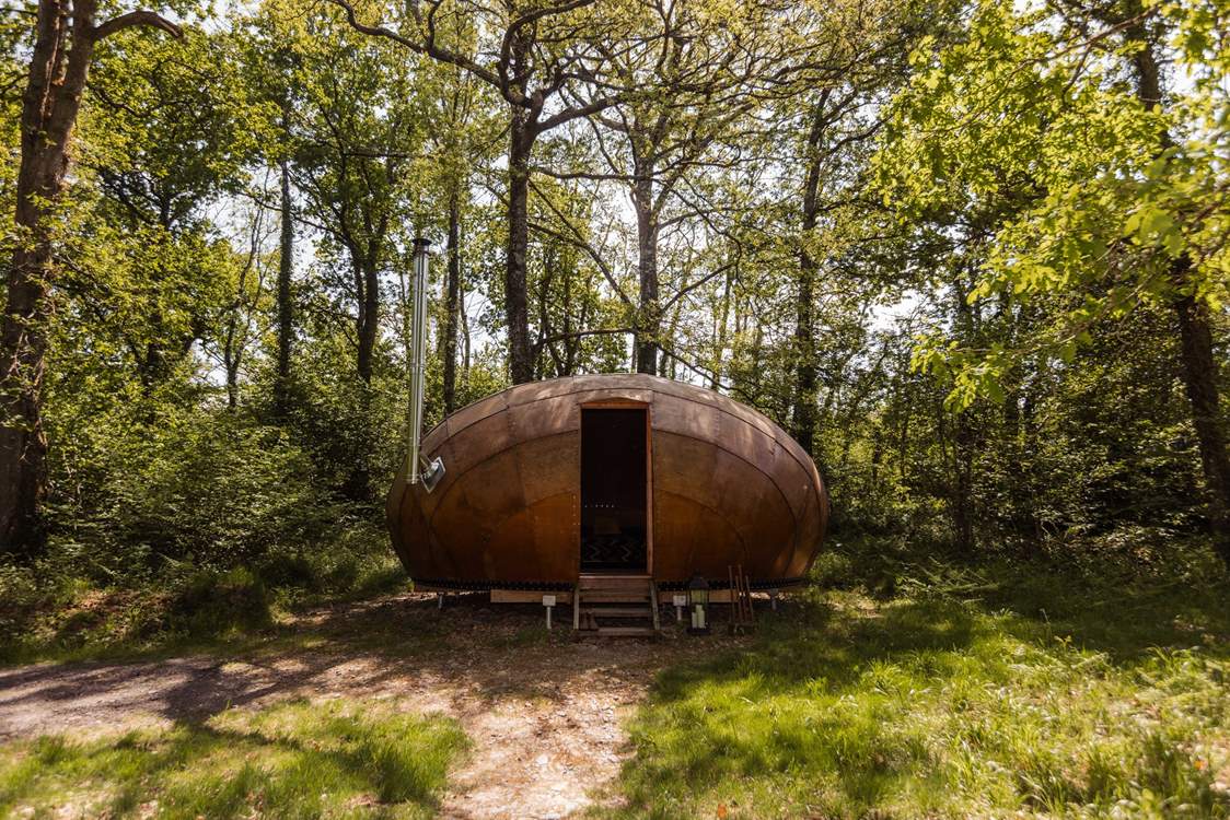 Welcome to our magical woodland retreat, Sun-dapple.
