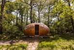 Welcome to our magical woodland retreat, Sun-dapple.