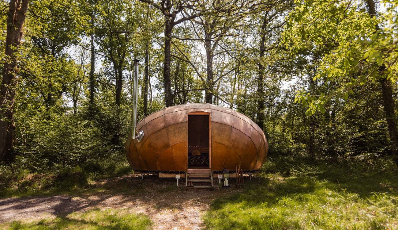 Welcome to our magical woodland retreat, Sun-dapple.