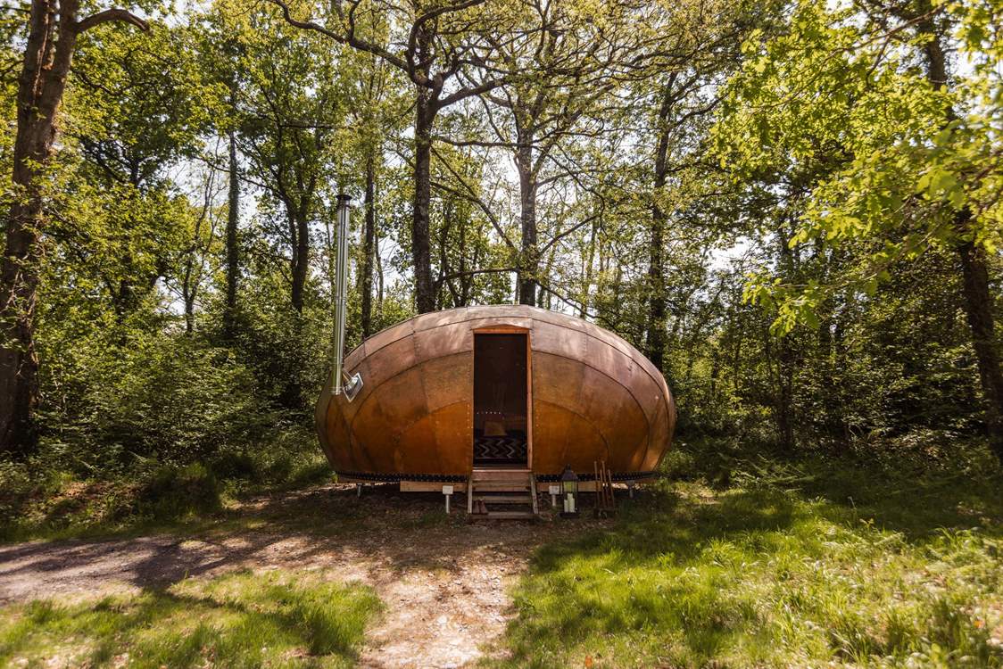 Welcome to our magical woodland retreat, Sun-dapple.