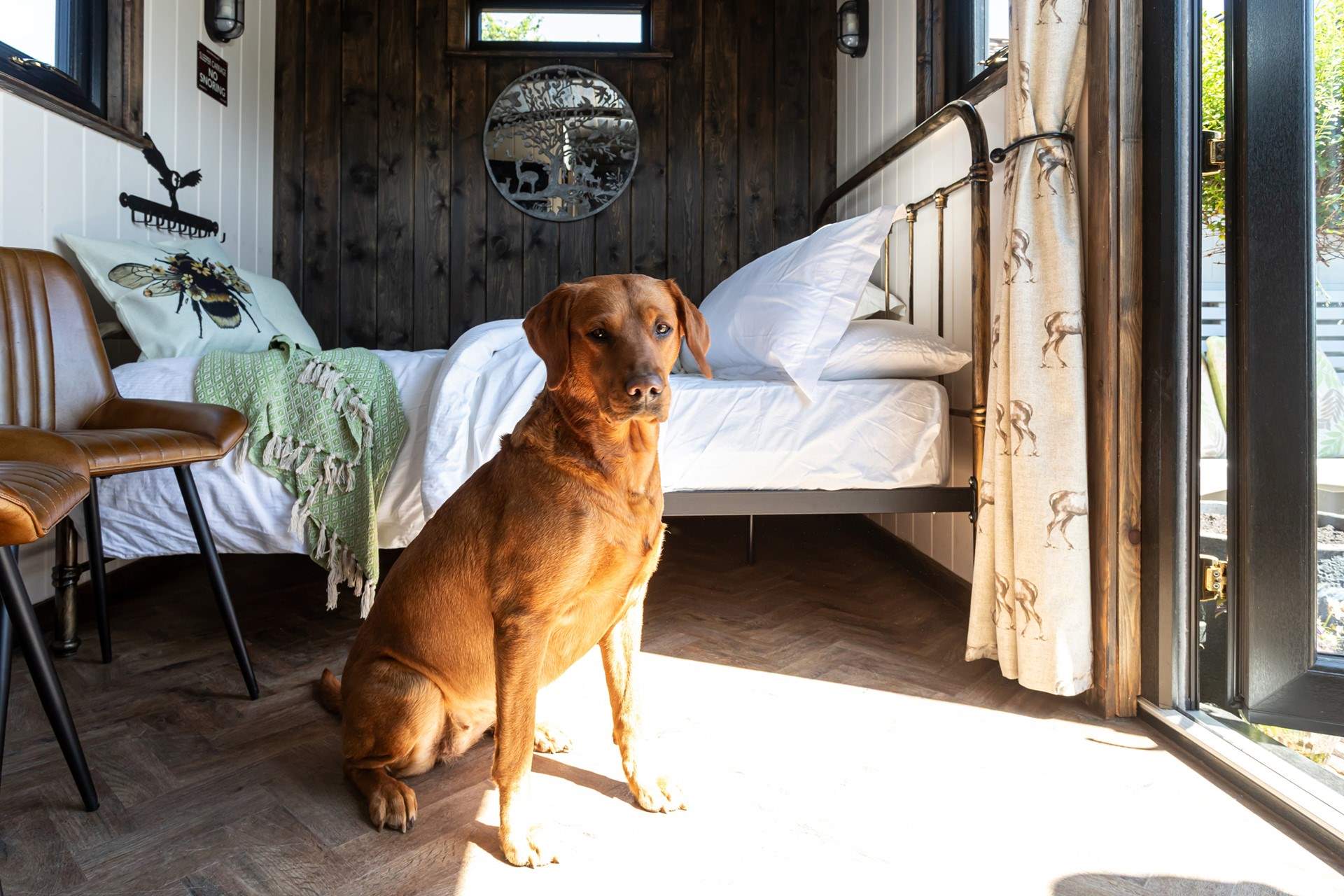 Your four-legged friend is very welcome to join you on your adventure. 