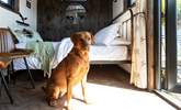 Your four-legged friend is very welcome to join you on your adventure.  - Thumbnail Image