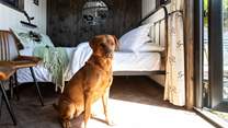 Your four-legged friend is very welcome to join you on your adventure. 