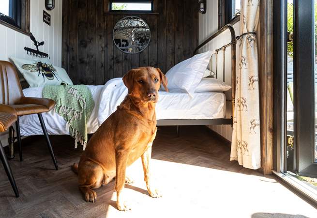 Your four-legged friend is very welcome to join you on your adventure. 