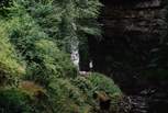 In under an hour, you can find Hardraw Force, England's largest single-drop waterfall. 